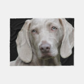 Couverture Polaire Weimaraner Silver Grey (Devant (Horizontal))
