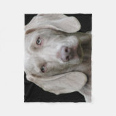 Couverture Polaire Weimaraner Silver Grey (Devant)