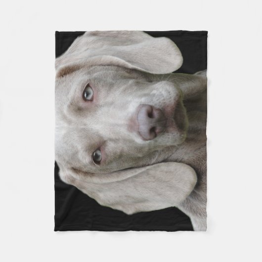Couverture Polaire Weimaraner Silver Grey (Devant)