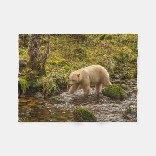 Couverture Polaire White Spirit Bear Chasse pour poisson sur Riordan (Devant (Horizontal))