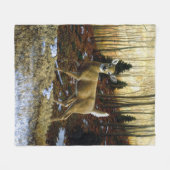 Couverture Polaire Whitetail Deer Doe dans la forêt d'automne (Devant (Horizontal))