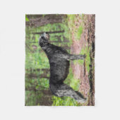 Couverture Polaire Wolfhound irlandais noir Poser dans les bois (Devant)