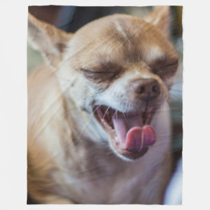 Couverture Polaire Yawning Chihuahua