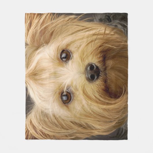Couverture Polaire Yorkshire Terrier (Devant)