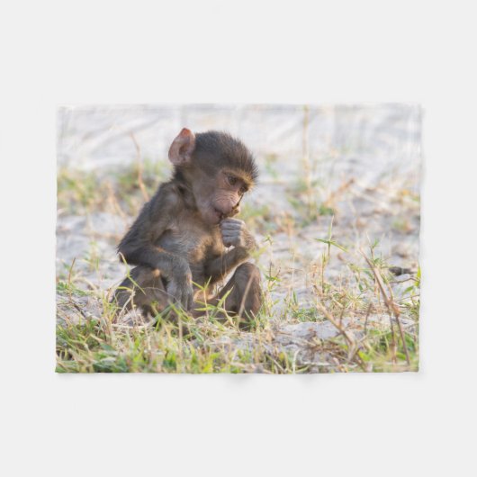 Couverture Polaire Young Baboon (Devant (Horizontal))