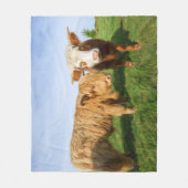 Couverture Polaire Young Highland Cows (Devant)