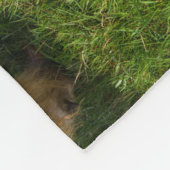 Couverture Polaire Young Highland Cows (Coin)