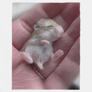 Couverture Polaire Zzzzzzzzzzzzz