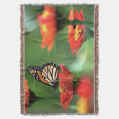 Couverture Pollinisation des papillons monarques (devant Vertical)