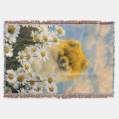 Couverture Poméranien dans Daisies Peinture - Art Chien origi (Devant)