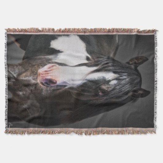 Couverture Portrait de cheval II (Devant)