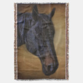 Couverture Portrait de cheval noir sur effet Parchemin rustiq (devant Vertical)