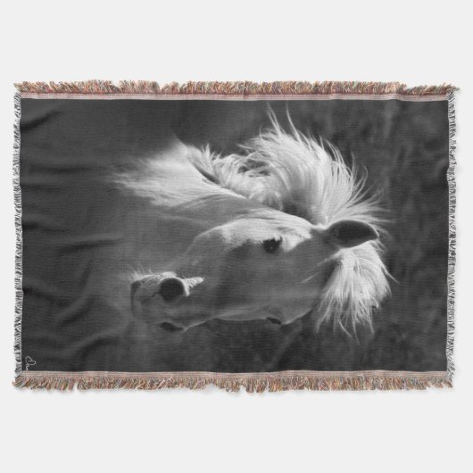 Couverture Portrait de cheval V (Devant)