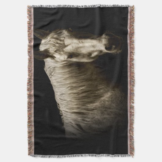 Couverture Portrait de cheval VI (devant Vertical)