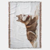 Couverture Portrait de Cute Sibérien Husky (devant Vertical)