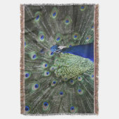 Couverture Portrait de paon avec des plumes (devant Vertical)