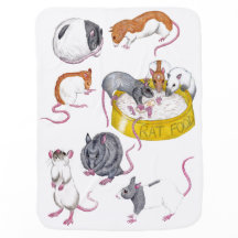 couverture bébé de rats