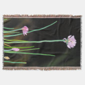 Couverture Poussins (Devant)