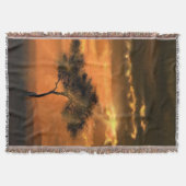 Couverture Poutres de soleil de l'arbre du lever Jetez la cou (Devant)