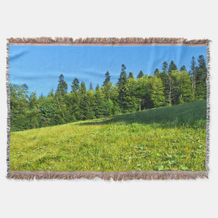 Couverture Prairie verte des Carpates – Impression de montagn
