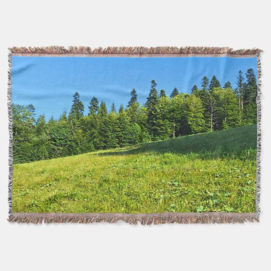 Couverture Prairie verte des Carpates – Impression de montagn (Devant)