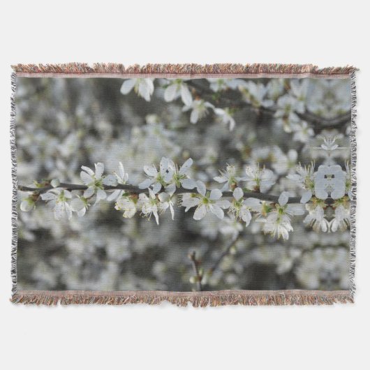 Couverture Printemps, Flore Blanche Photo Jetée Blanche (Devant)