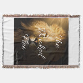 Couverture Proverbes de la fuite des méchants 28:1 KJV (Devant)