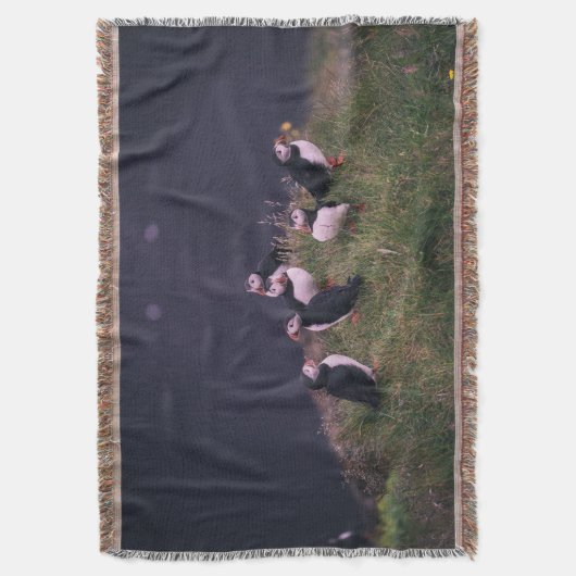 Couverture Puffins de l'Atlantique (devant Vertical)