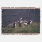 Couverture Puffins de l'Atlantique (Devant)