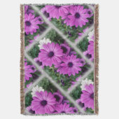 Couverture Purple daisies (devant Vertical)