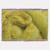 Couverture Python birman jaune (Devant)