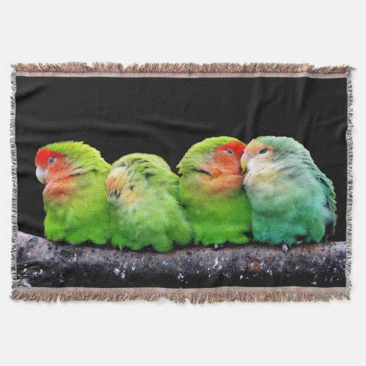 Couverture Quatre petits canaris (Devant)