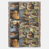 Couverture "Quokka Chronicles : Un Collage De Photos Plein De (devant Vertical)