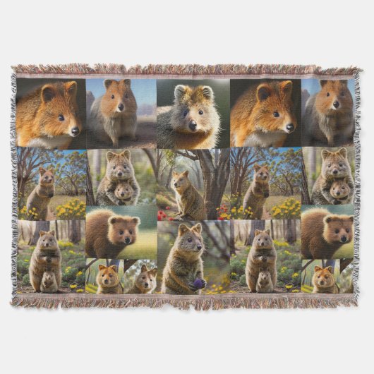 Couverture "Quokka Chronicles : Un Collage De Photos Plein De (Devant)