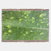 Couverture Raindrops sur une feuille (Devant)