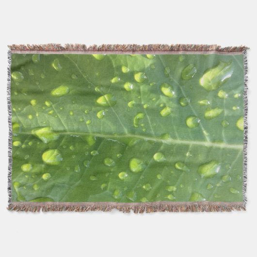 Couverture Raindrops sur une feuille (Devant)