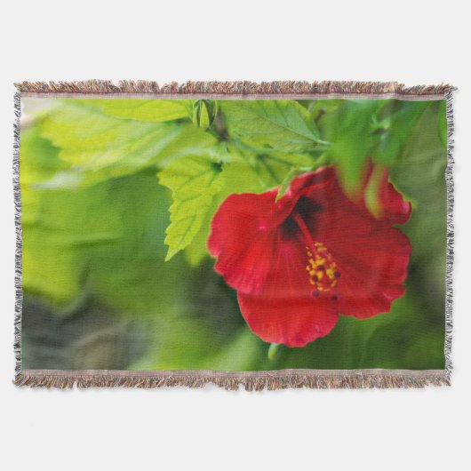 Couverture Red Hibiscus Hawaii Tropical (Devant)