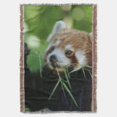 Couverture RedPanda 002 (devant Vertical)