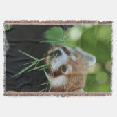 Couverture RedPanda 002 (Devant)
