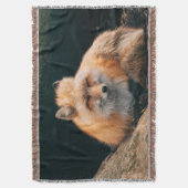 Couverture Renard roux dormant (devant Vertical)