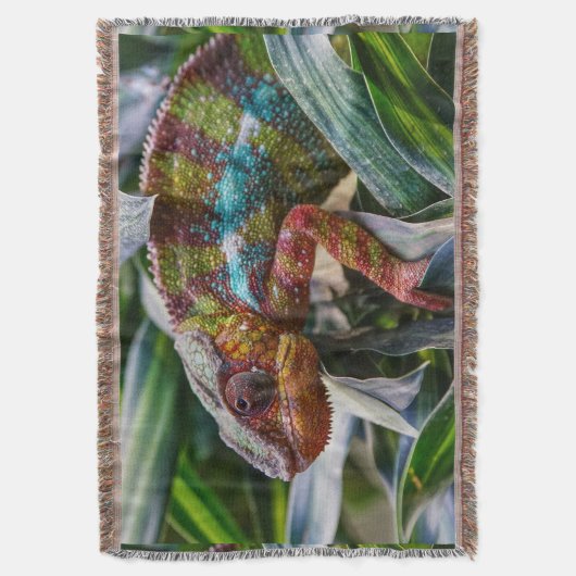 Couverture Reptile de faune (devant Vertical)