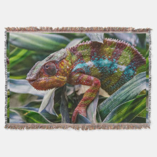 Couverture Reptile de faune