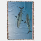 Couverture Requin des récifs des Caraïbes (devant Vertical)