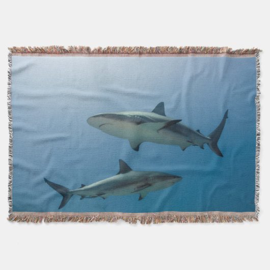Couverture Requin des récifs des Caraïbes (Devant)