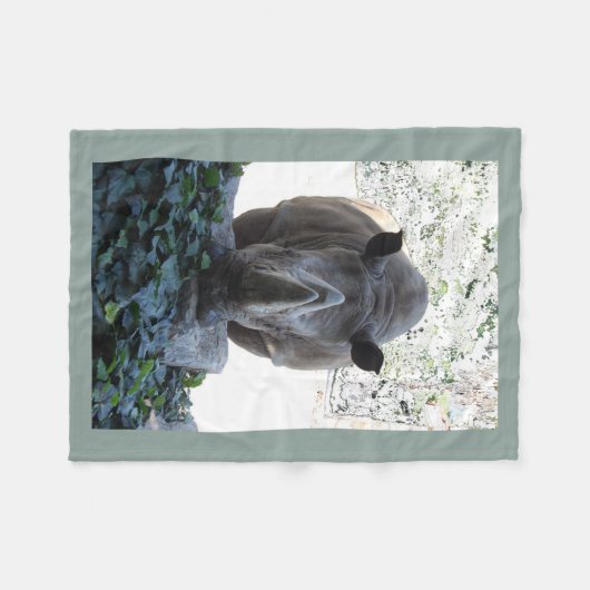 couverture _ rhinocéros (Devant (Horizontal))