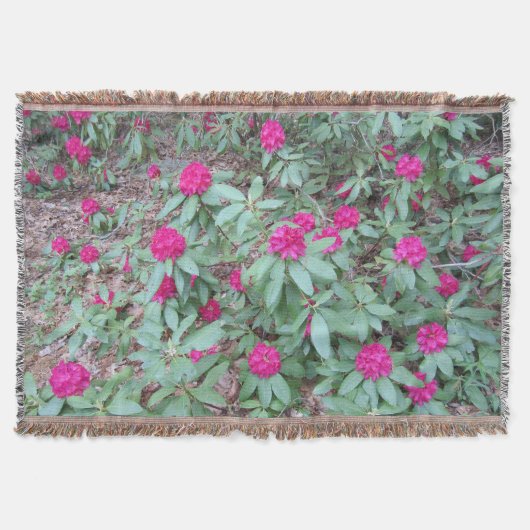 Couverture Rhododendron (Devant)