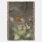 Couverture Robin (devant Vertical)