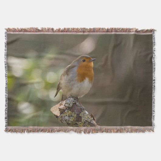 Couverture Robin (Devant)