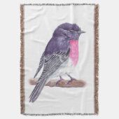 Couverture Robin (devant Vertical)