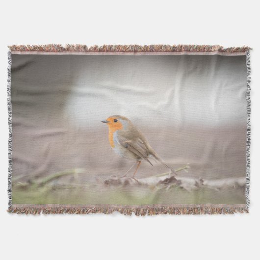 Couverture Robin Bird Nature Photo (Devant)